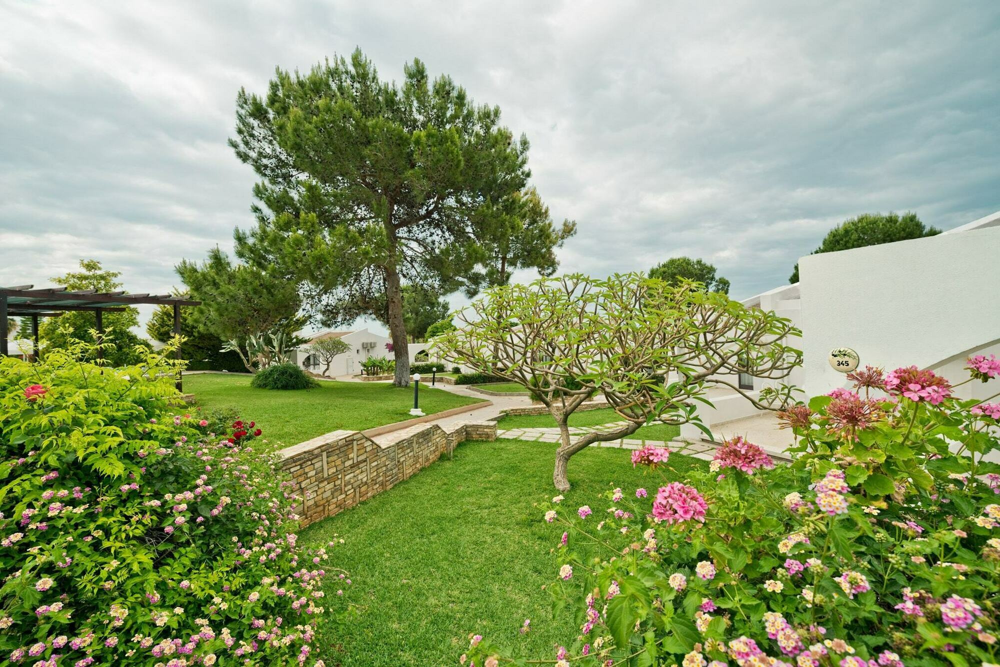 The Olive Tree Hotel Agios Epiktitos Exterior foto