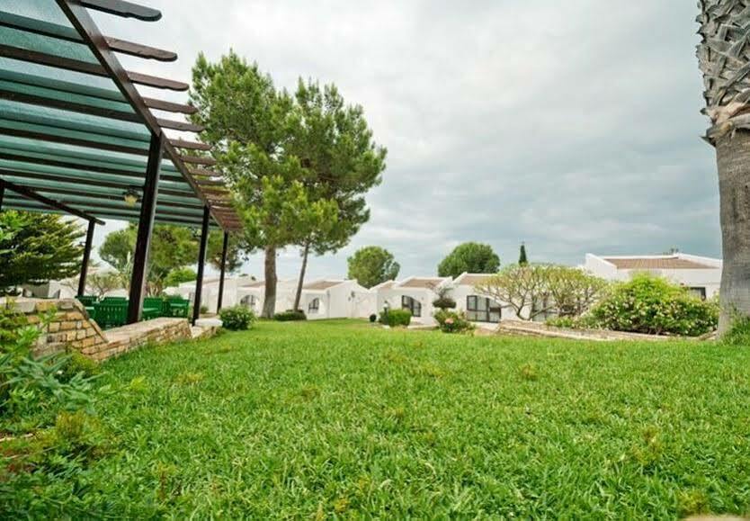 The Olive Tree Hotel Agios Epiktitos Exterior foto