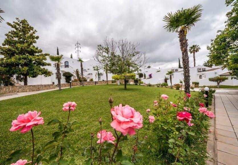The Olive Tree Hotel Agios Epiktitos Exterior foto