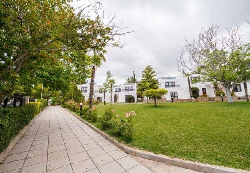 The Olive Tree Hotel Agios Epiktitos Exterior foto