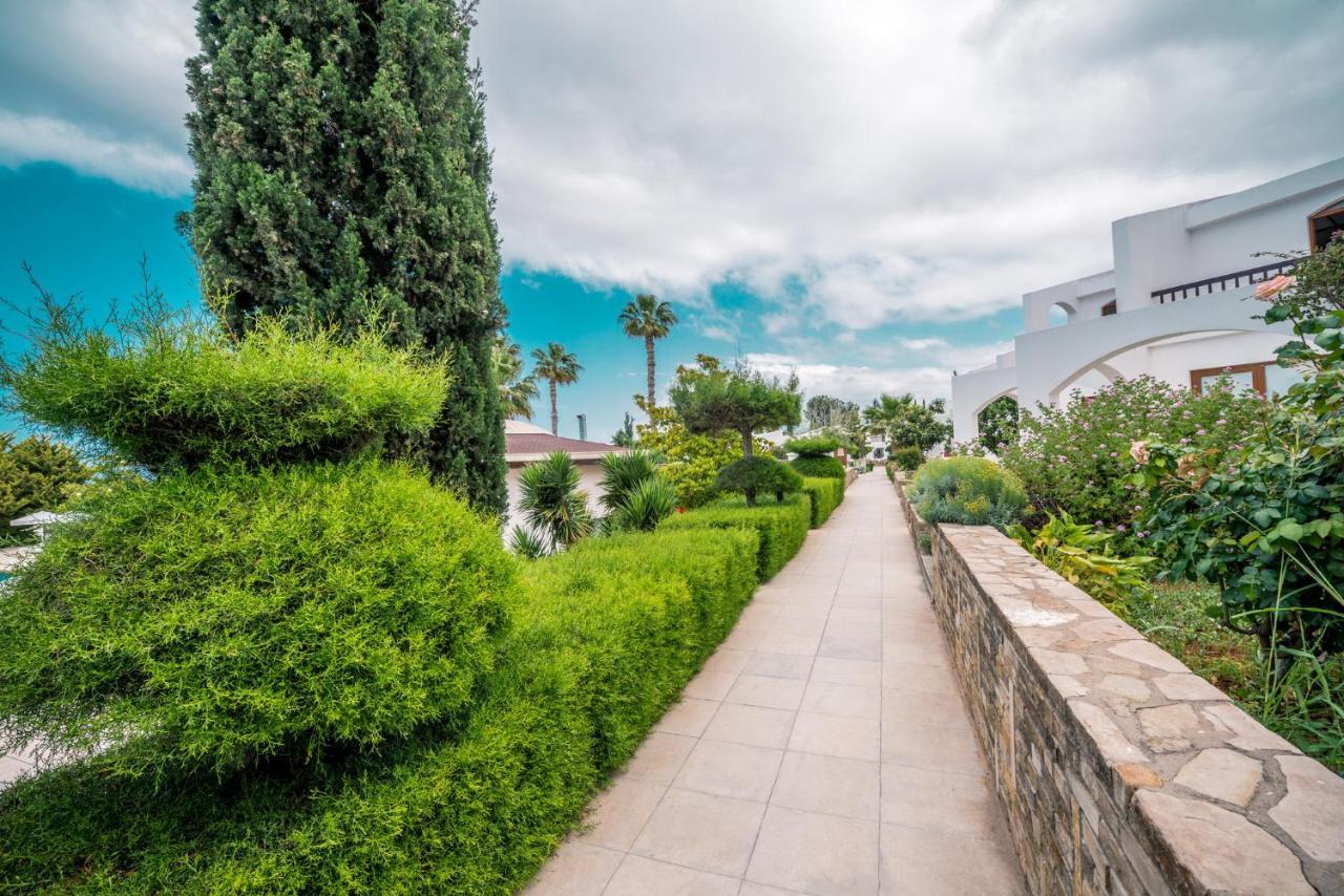 The Olive Tree Hotel Agios Epiktitos Exterior foto
