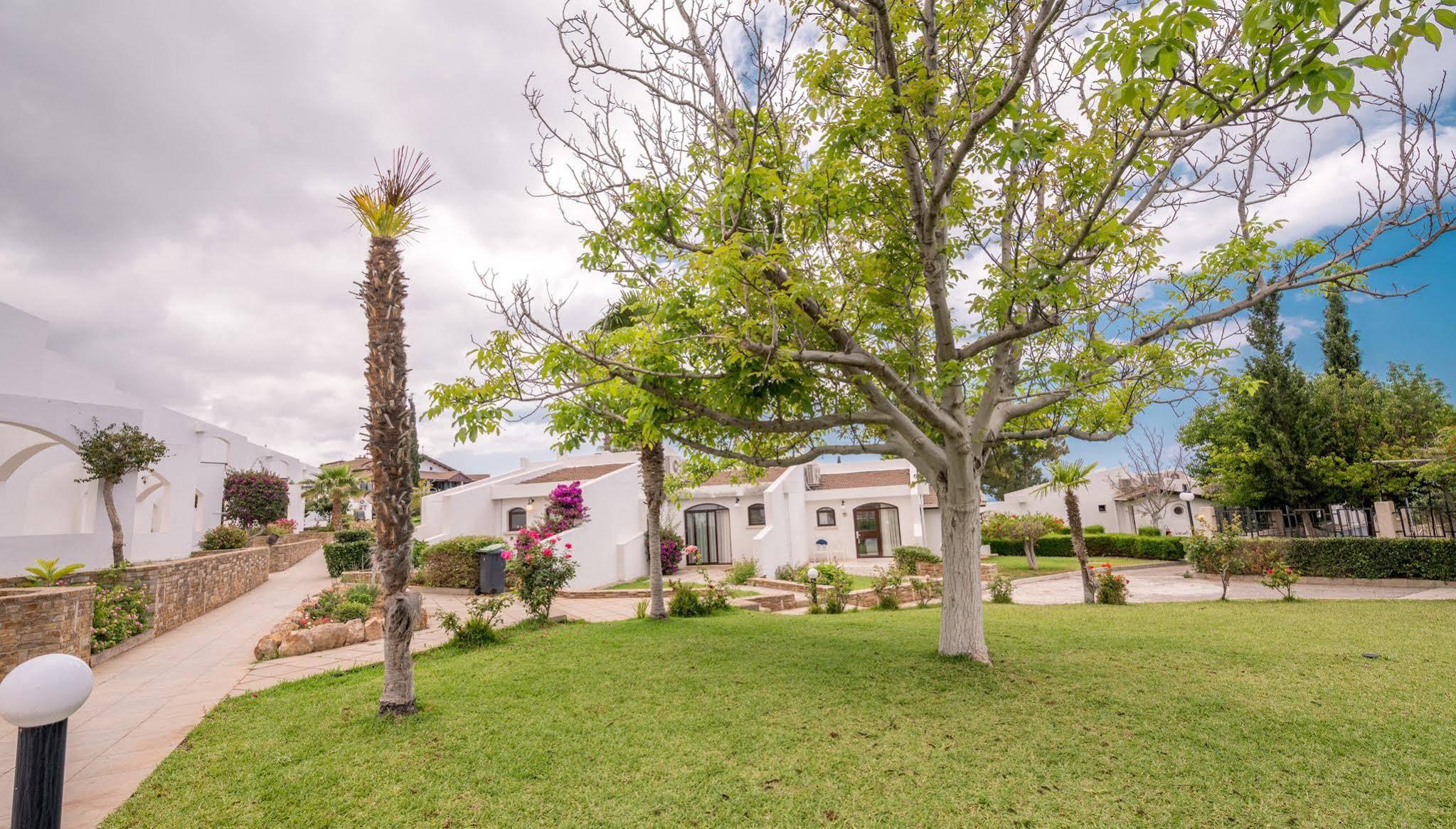 The Olive Tree Hotel Agios Epiktitos Exterior foto